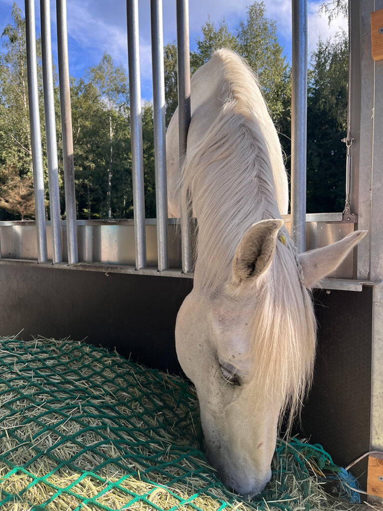 Haymatic module käytössä